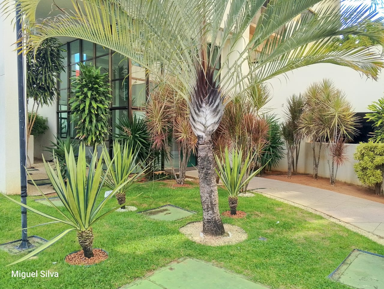 Imagem Apartamento com 2 Quartos à Venda, 58 m² em Capim Macio - Natal