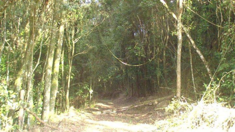 Imagem Chácara com 3 Quartos à Venda, 96.800 m² em Jardim Santa Esmeralda - Sorocaba Imagem Chácara com 3 Quartos à Venda, 96.800 m² em Jardim Santa Esmeralda - Sorocaba