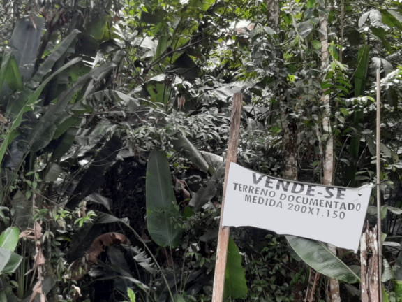 Imagem Terreno à Venda, 230.000 m² em Zona Rural - Santa Bárbara do Pará