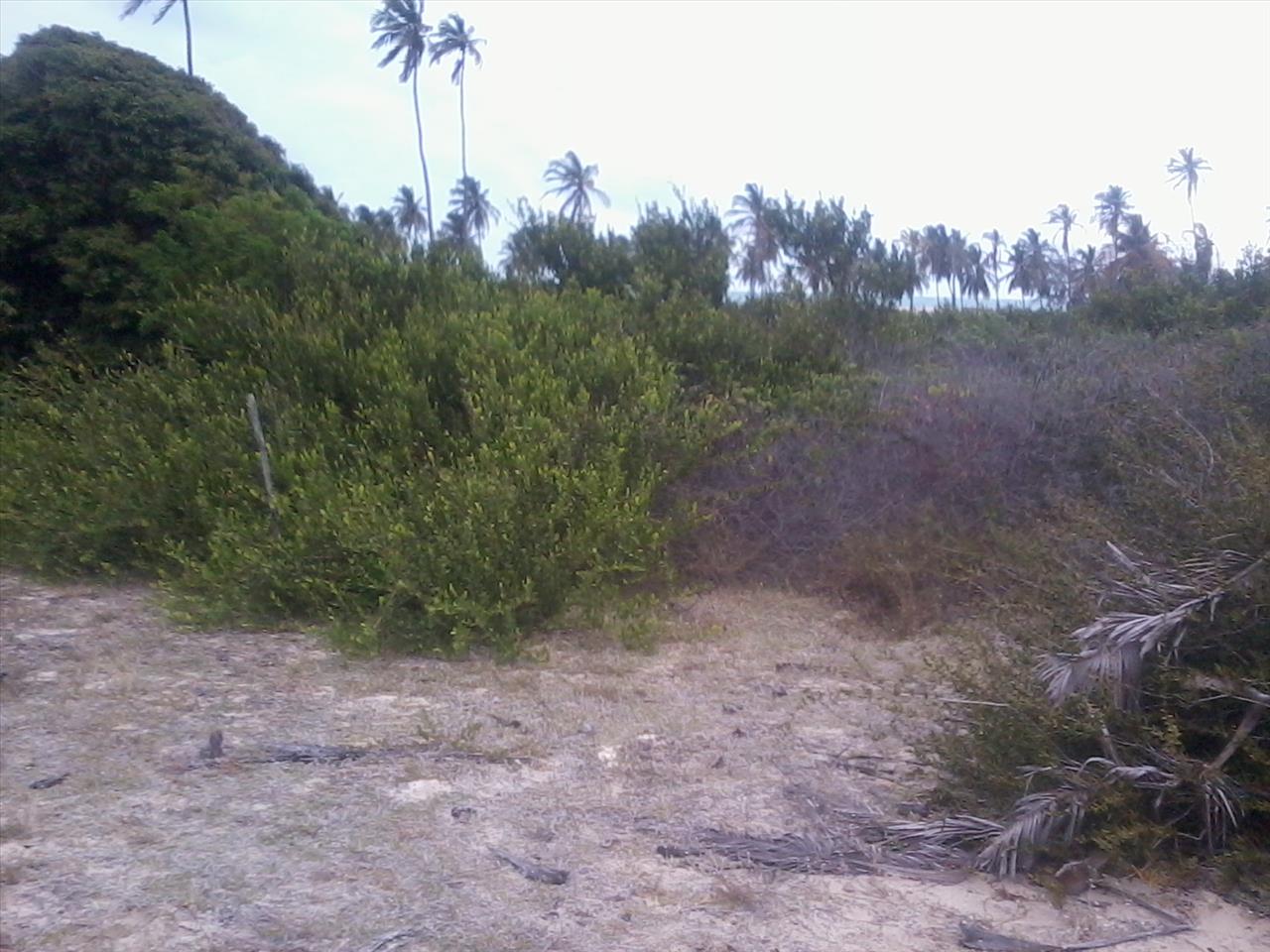 Imagem Terreno à Venda, 168.640 metro em Praia de Pititinga - Rio do Fogo Imagem Terreno à Venda, 168.640 metro em Praia de Pititinga - Rio do Fogo