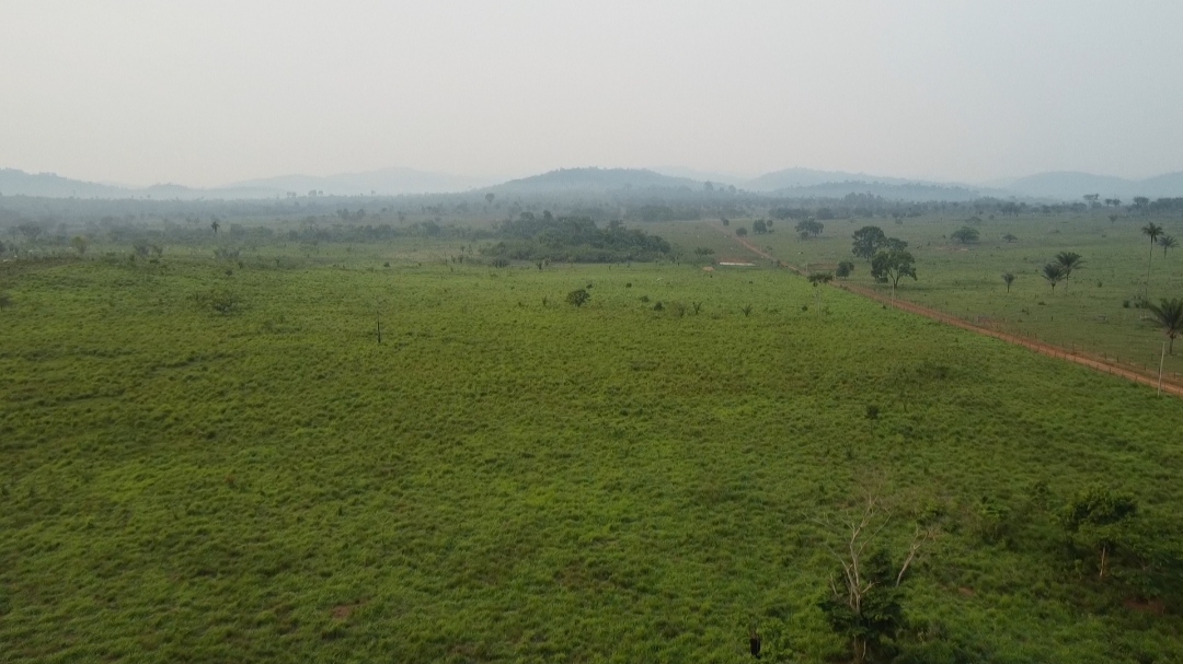 Imagem Fazenda à Venda, 1 m²em Centro  - São Félix do Xingu
