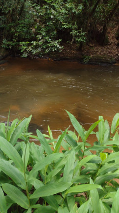 Imagem Terreno à Venda, 1.000 m² em Centro - Atibaia Imagem Terreno à Venda, 1.000 m² em Centro - Atibaia