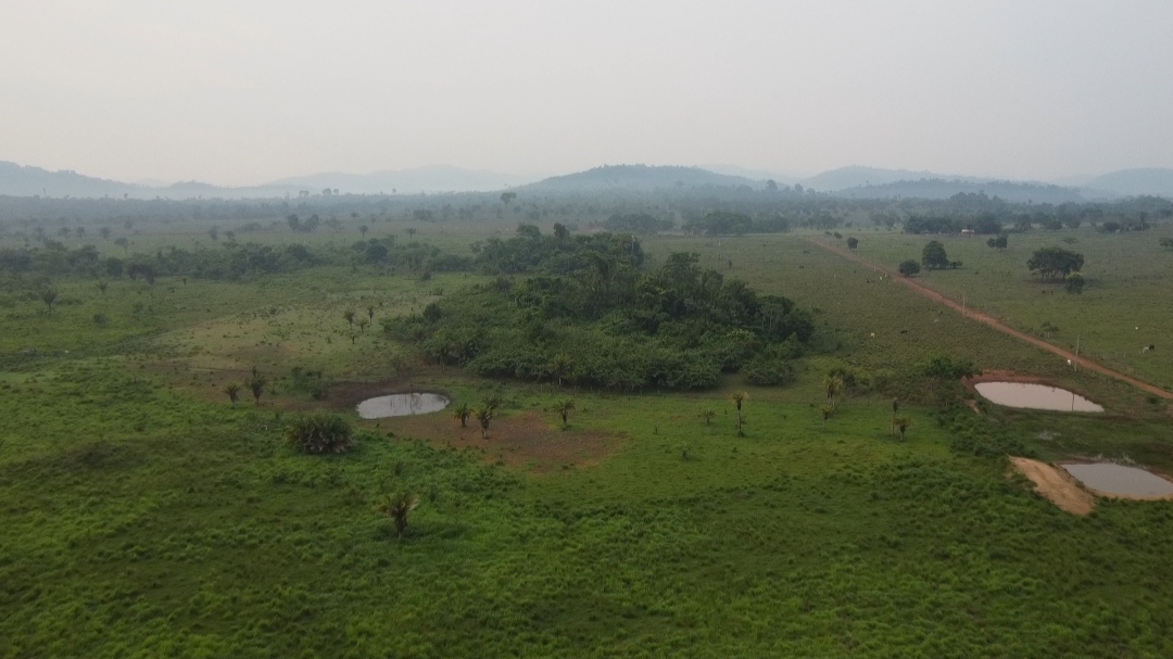 Imagem Fazenda à Venda, 1 m²em Centro  - São Félix do Xingu