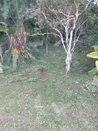 Imagem Chácara com 2 Quartos à Venda, 1.404 m² em Estrada Municipal Casqueiro - Biritiba-Mirim Imagem Chácara com 2 Quartos à Venda, 1.404 m² em Estrada Municipal Casqueiro - Biritiba-Mirim