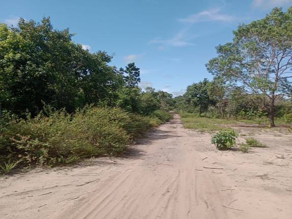 Imagem Terreno à Venda, 44.200 m² em Centro - Santarém Imagem Terreno à Venda, 44.200 m² em Centro - Santarém