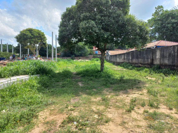 Imagem Terreno à Venda, 1.300 m² em Alter do Chão - Santarém