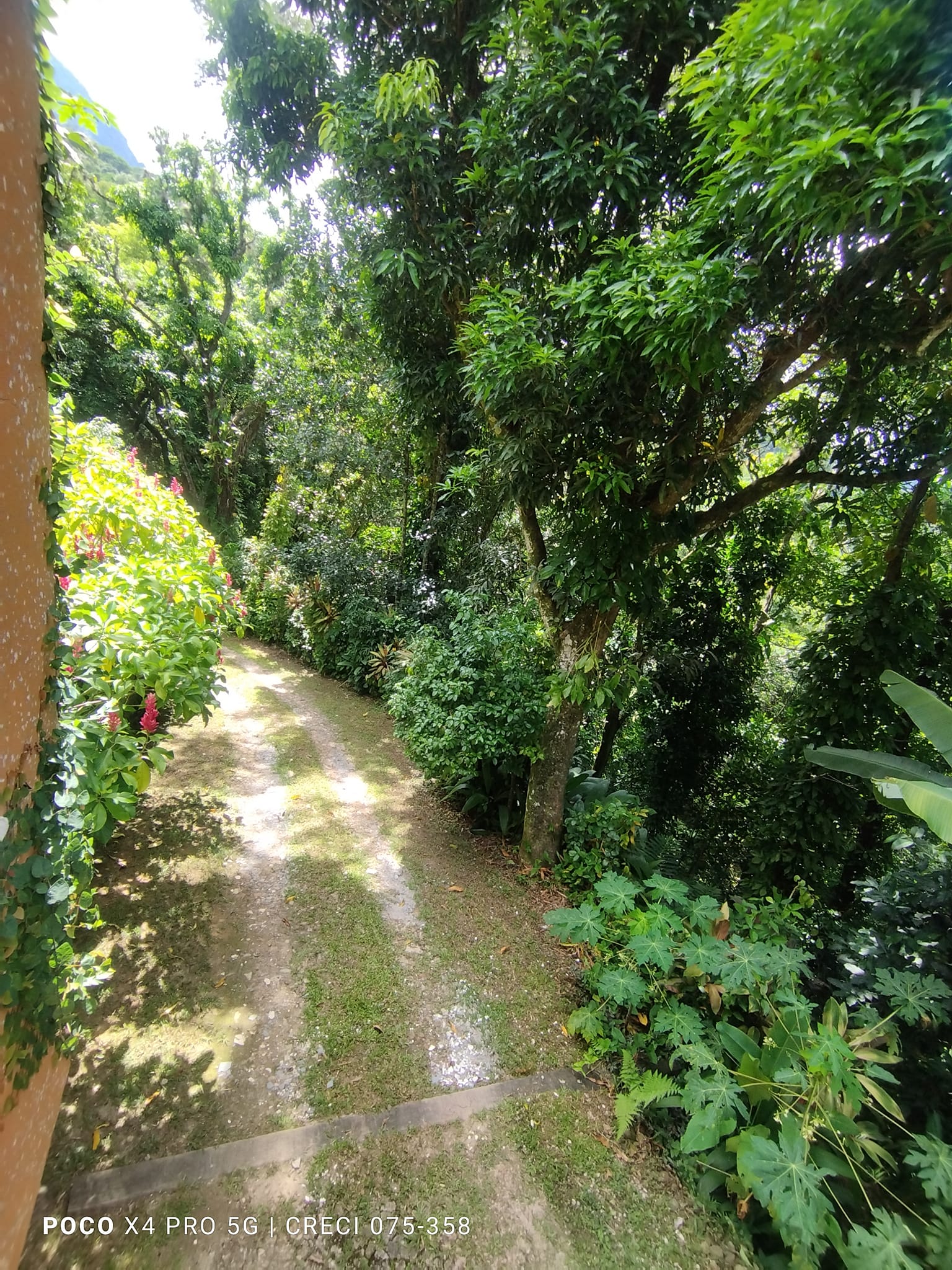 Imagem Chácara com 6 Quartos à Venda, 8 m²em Jacarepaguá - Rio de Janeiro Imagem Chácara com 6 Quartos à Venda, 8 m²em Jacarepaguá - Rio de Janeiro