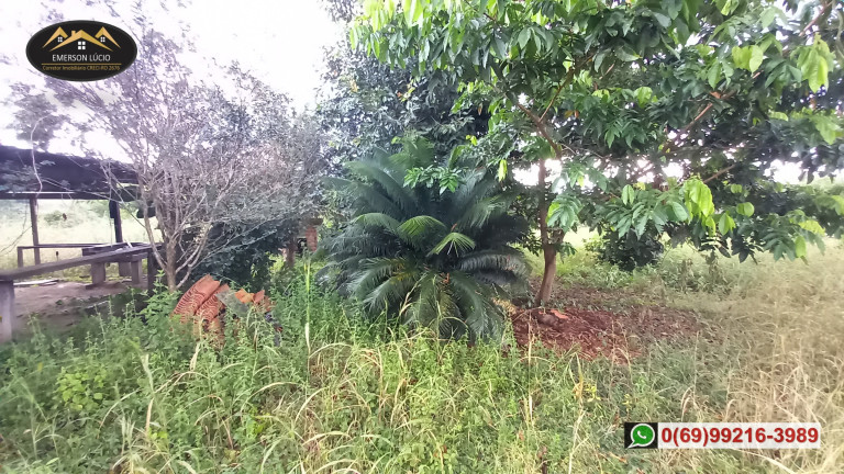 Imagem Chácara à Venda, 200 m² em Areia Branca - Porto Velho Imagem Chácara à Venda, 200 m² em Areia Branca - Porto Velho