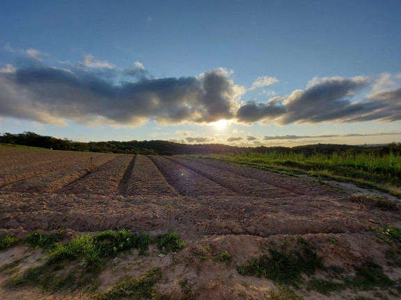 Imagem Terreno à Venda, 500 m² em Centro - Cotia Imagem Terreno à Venda, 500 m² em Centro - Cotia