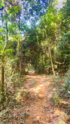 Imagem Terreno em Condomínio à Venda, 1.000 m² em Jaboticatubas - Jaboticatubas Imagem Terreno em Condomínio à Venda, 1.000 m² em Jaboticatubas - Jaboticatubas