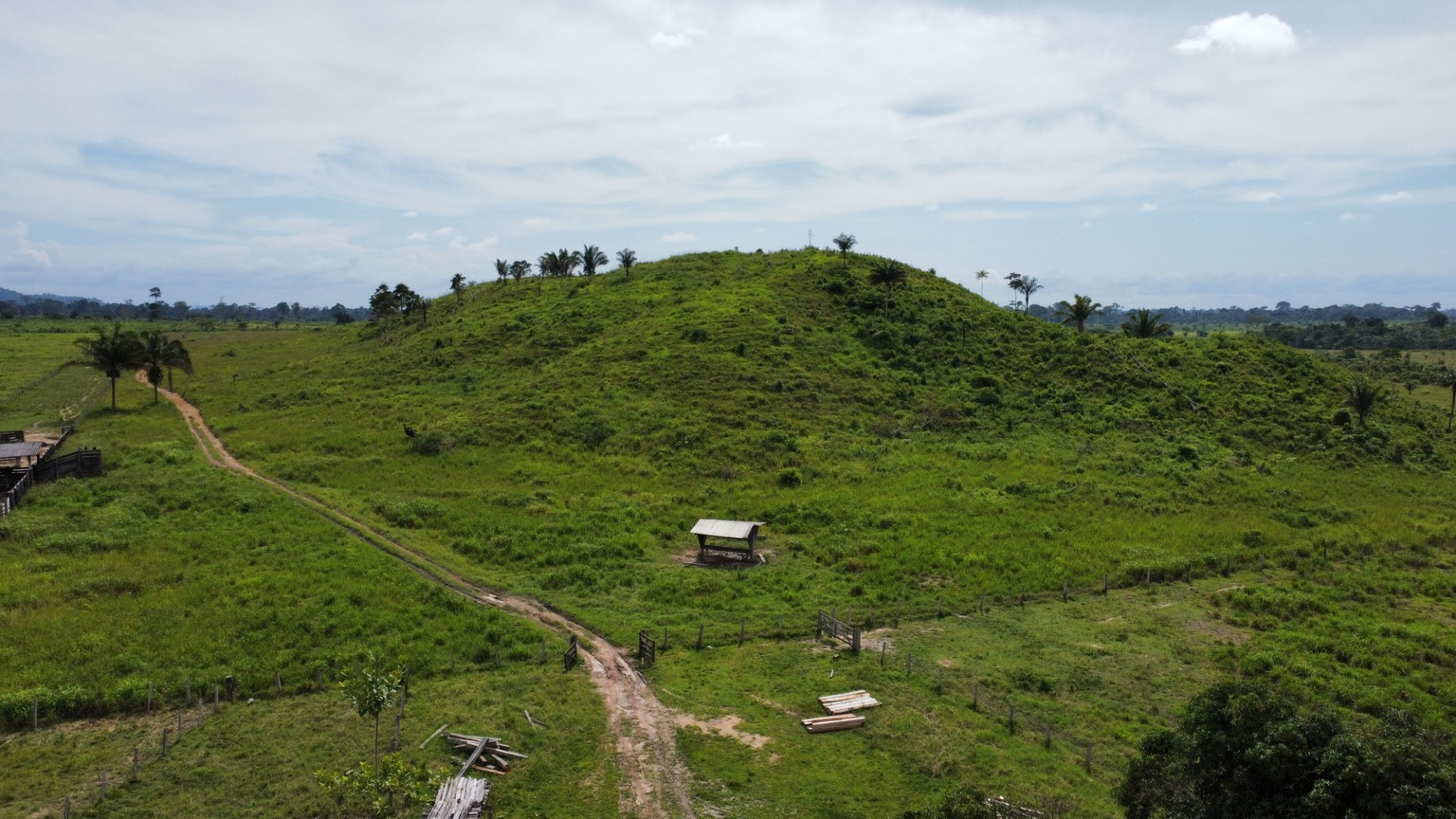 Imagem Fazenda à Venda, 900 Alq MGem Centro - São Félix do Xingu Imagem Fazenda à Venda, 900 Alq MGem Centro - São Félix do Xingu