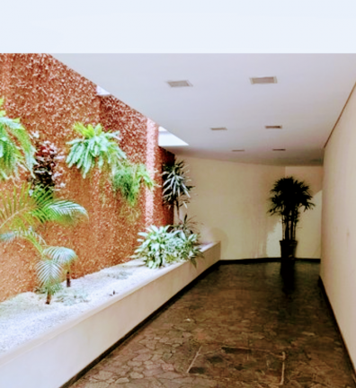Imagem Apartamento com 3 Quartos à Venda, 80 m² em Saúde - São Paulo