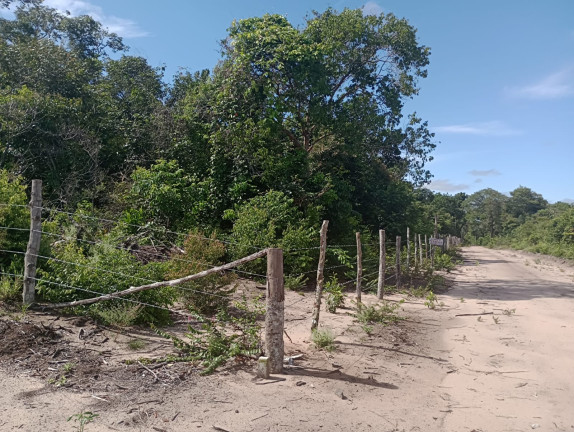 Imagem Terreno à Venda, 44.200 m² em Centro - Santarém Imagem Terreno à Venda, 44.200 m² em Centro - Santarém