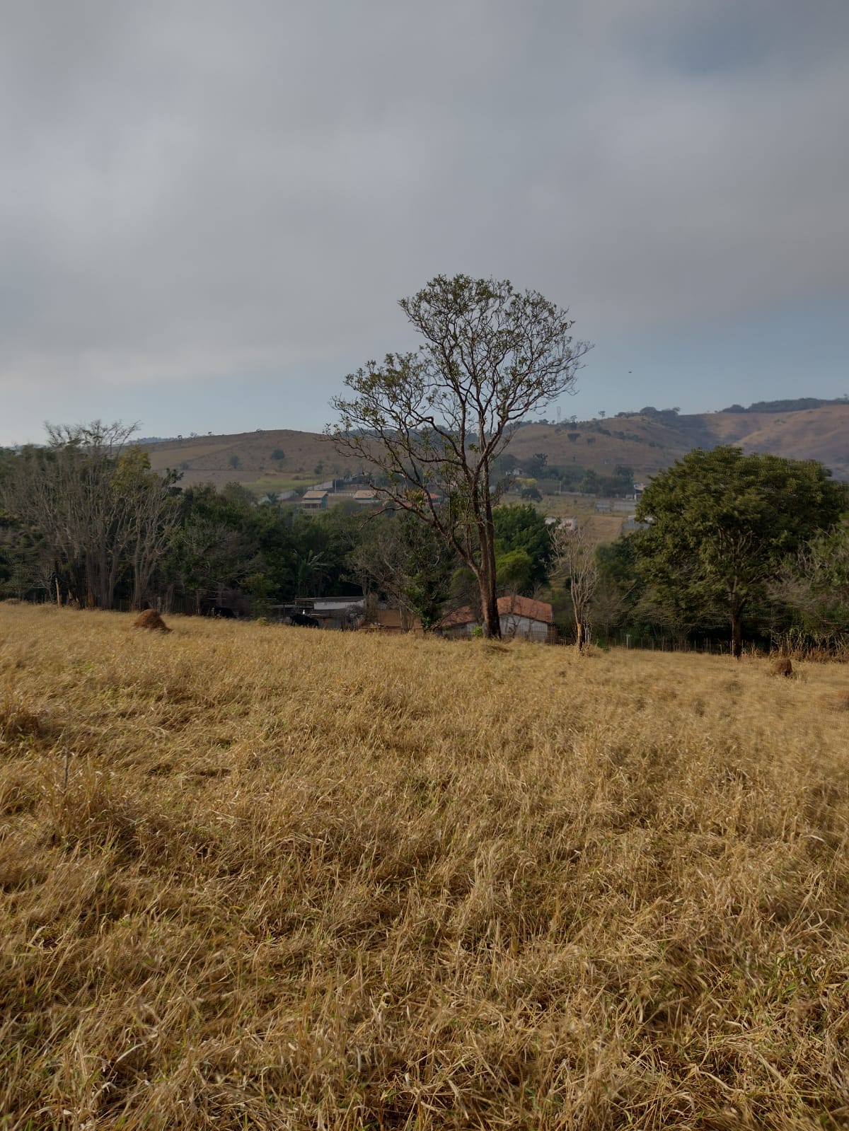 Imagem Terreno à Venda, 21.000 m² em Jardim Continental - Taubaté Imagem Terreno à Venda, 21.000 m² em Jardim Continental - Taubaté