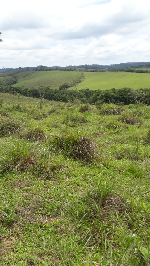 Imagem Fazenda à Venda, 414 HAem Centro - Barbacena Imagem Fazenda à Venda, 414 HAem Centro - Barbacena