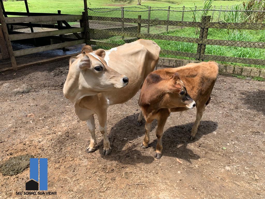 Imagem Terreno à Venda, 110 m²em Juquiazinho - Juquitiba