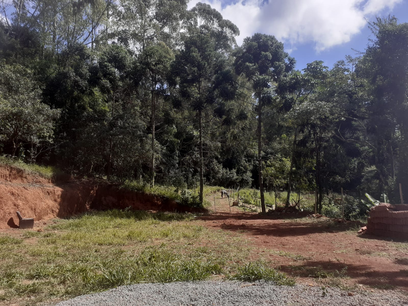 Imagem Chácara com 3 Quartos à Venda, 220 m² em Colinas - Poços de Caldas