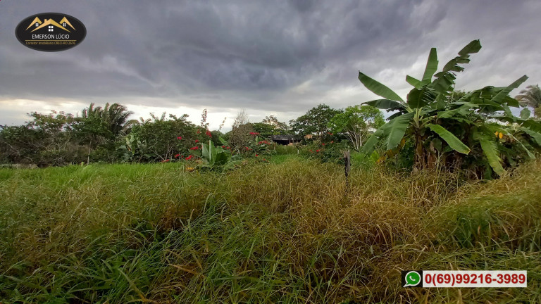 Imagem Chácara à Venda, 200 m² em Areia Branca - Porto Velho Imagem Chácara à Venda, 200 m² em Areia Branca - Porto Velho