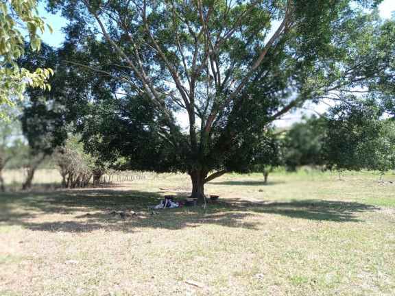 Imagem Chácara com 2 Quartos à Venda, 25.000 m² em Jardim Palmeiras - Caçapava