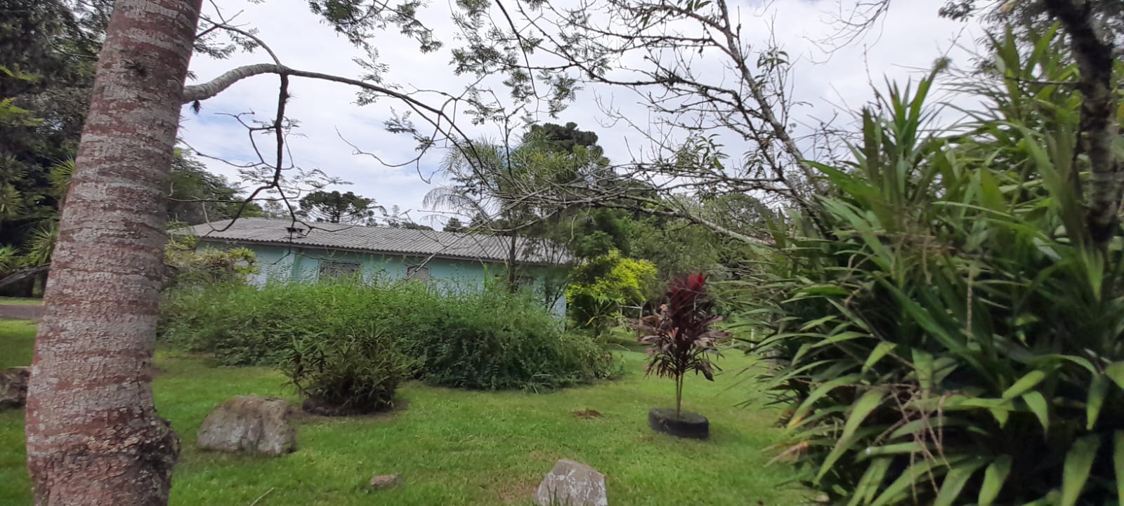 Imagem Chácara com 3 Quartos à Venda, 83 m²em Ponte Alta - Prudentópolis