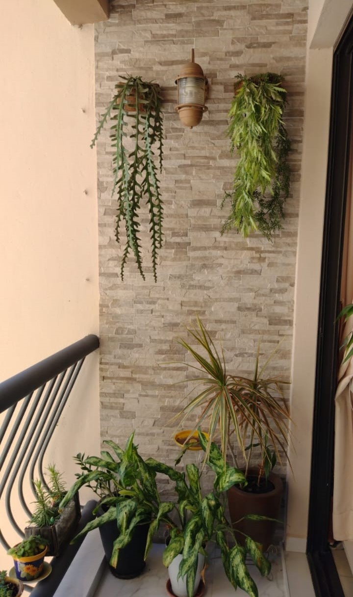 Imagem Apartamento com 2 Quartos à Venda, 80 m²em Jardim Maria Rosa - Taboão da Serra Imagem Apartamento com 2 Quartos à Venda, 80 m²em Jardim Maria Rosa - Taboão da Serra