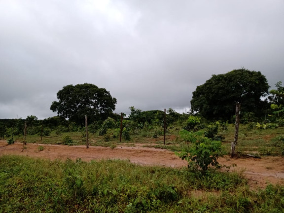 Imagem Fazenda à Venda, 4.870 HA em morumbi - campo grande Imagem Fazenda à Venda, 4.870 HA em morumbi - campo grande