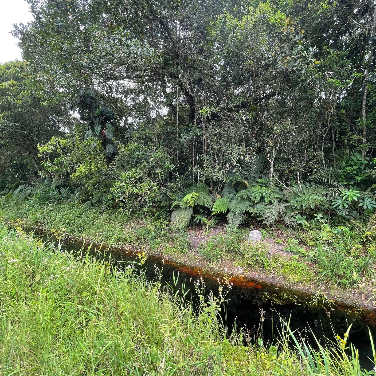 Terreno à Venda, 373 m²em Jardim Maramba II - Itanhaém