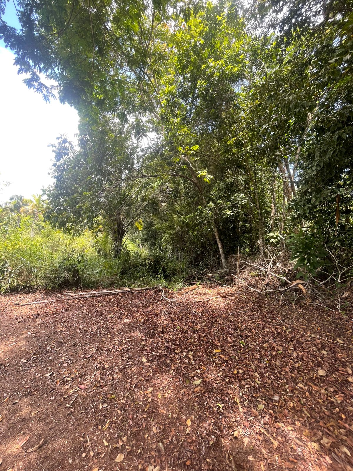 Imagem Terreno à Venda, 300 m² em centro - Una Imagem Terreno à Venda, 300 m² em centro - Una