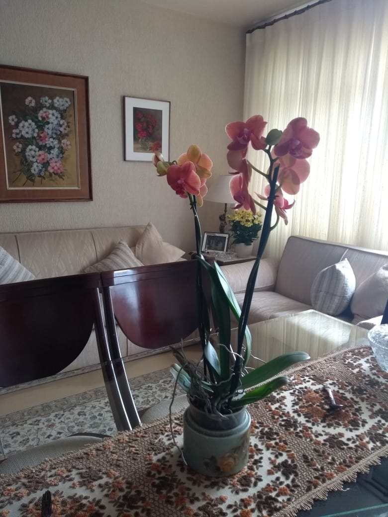Imagem Apartamento com 2 Quartos à Venda, 85 m²em Vila Mariana - São Paulo