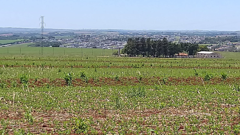 Imagem Fazenda à Venda,  em Gleba Ribeirão Maringá - Maringá