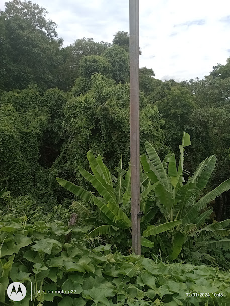 Imagem Terreno à Venda, 3 m²em Jardim Sabiá - Cotia Imagem Terreno à Venda, 3 m²em Jardim Sabiá - Cotia
