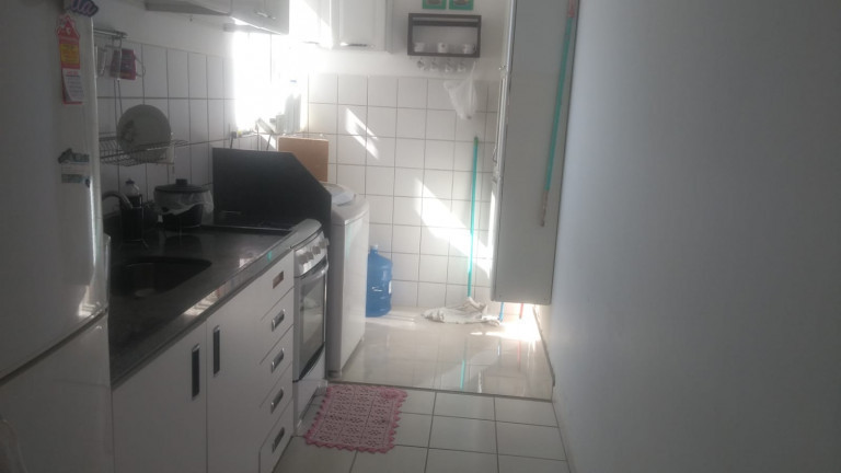 Imagem Apartamento com 2 Quartos à Venda, 54 m² em Jardim Presidente - Goiânia Imagem Apartamento com 2 Quartos à Venda, 54 m² em Jardim Presidente - Goiânia
