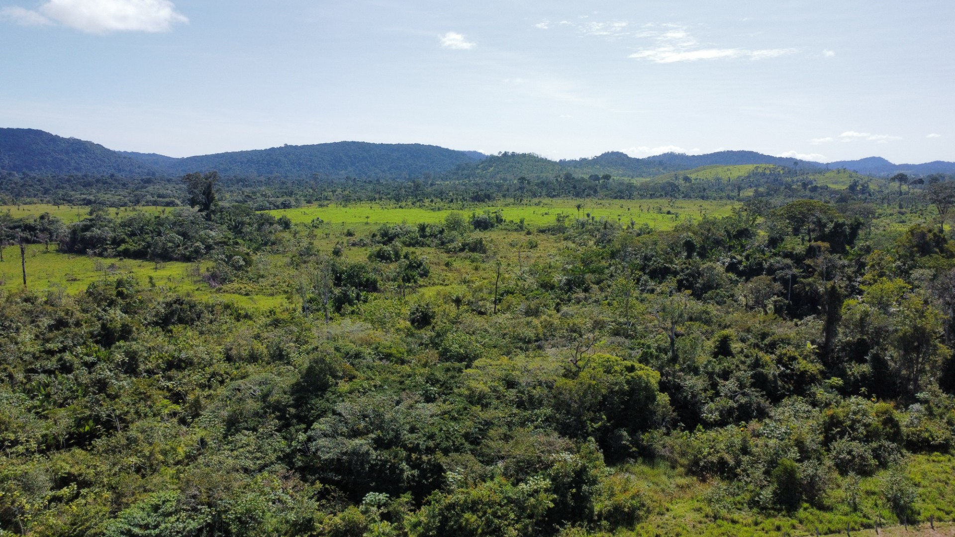 Imagem Fazenda à Venda, 900 Alq MGem Centro - São Félix do Xingu Imagem Fazenda à Venda, 900 Alq MGem Centro - São Félix do Xingu