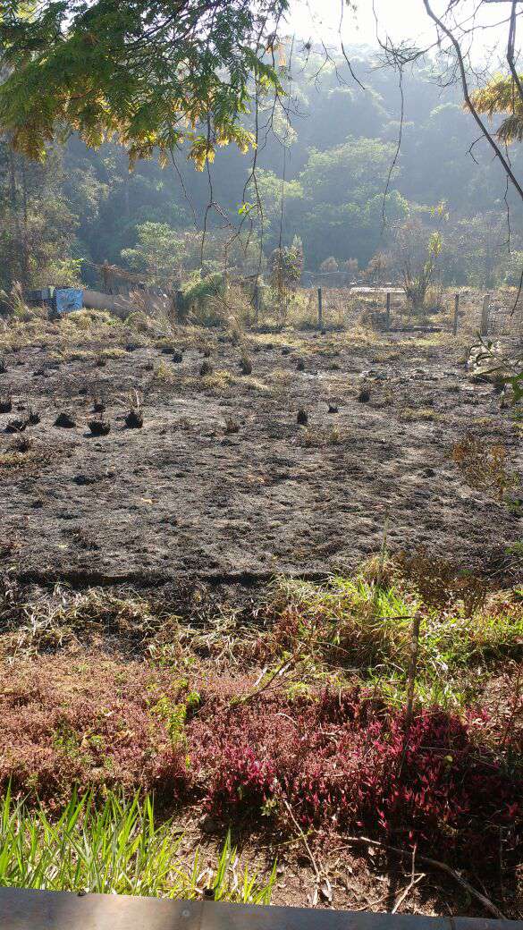 Imagem Terreno à Venda, 39.800 m² em Castanho - Jundiaí Imagem Terreno à Venda, 39.800 m² em Castanho - Jundiaí