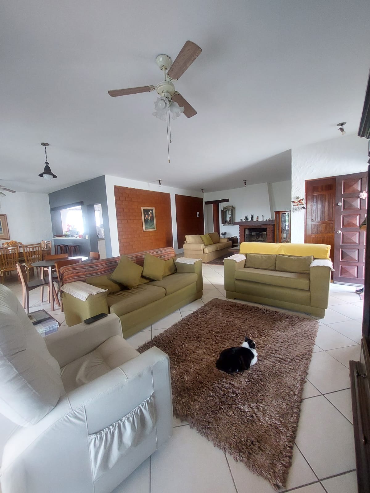 Imagem Casa com 3 Quartos à Venda, em Jardim Riviera - São Paulo Imagem Casa com 3 Quartos à Venda, em Jardim Riviera - São Paulo