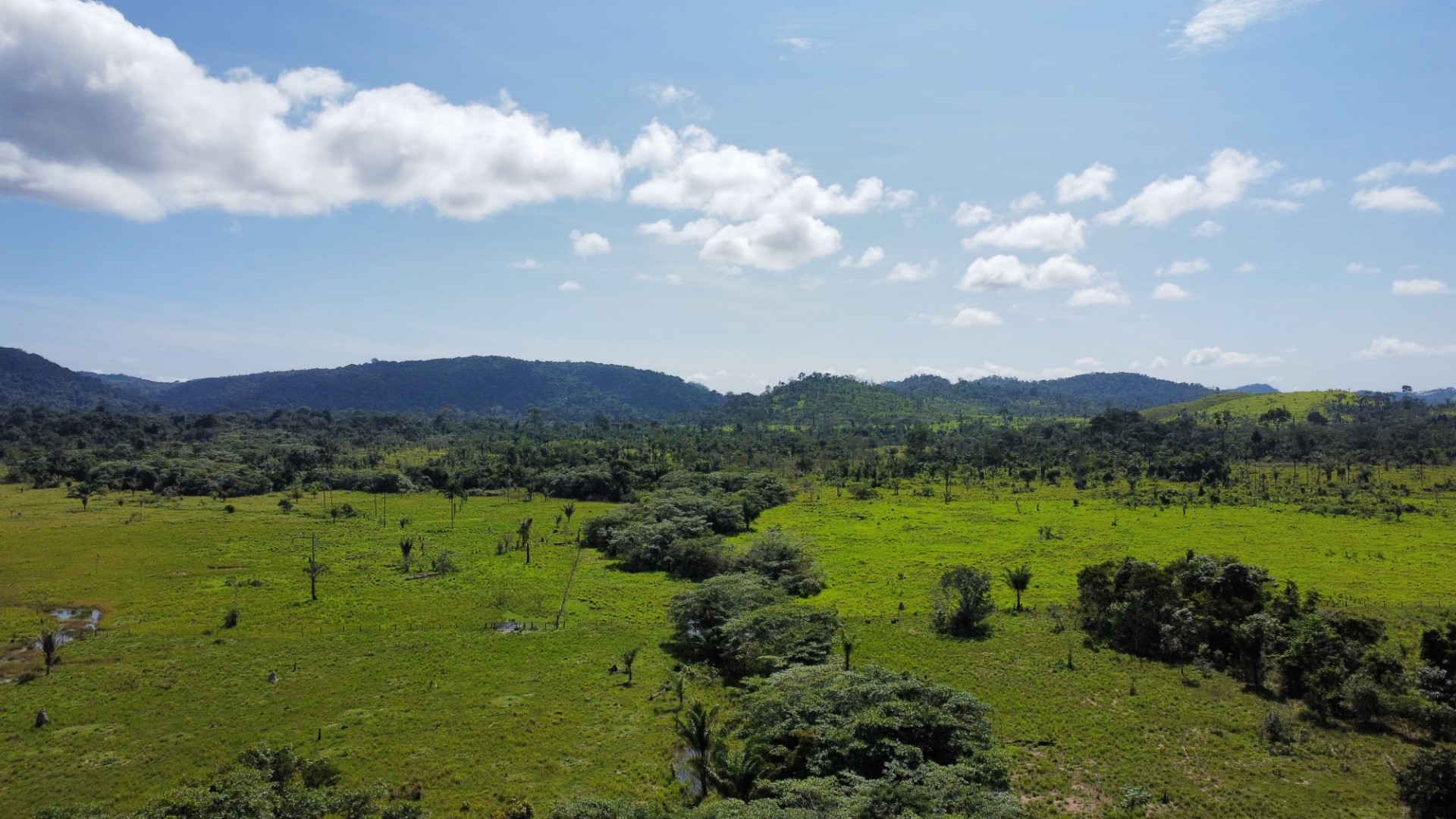 Imagem Fazenda à Venda, 900 Alq MGem Centro - São Félix do Xingu Imagem Fazenda à Venda, 900 Alq MGem Centro - São Félix do Xingu