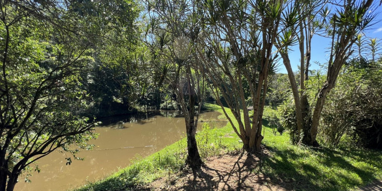 Imagem Chácara com 4 Quartos à Venda, 46.000 m² em Centro - Santa Isabel Imagem Chácara com 4 Quartos à Venda, 46.000 m² em Centro - Santa Isabel