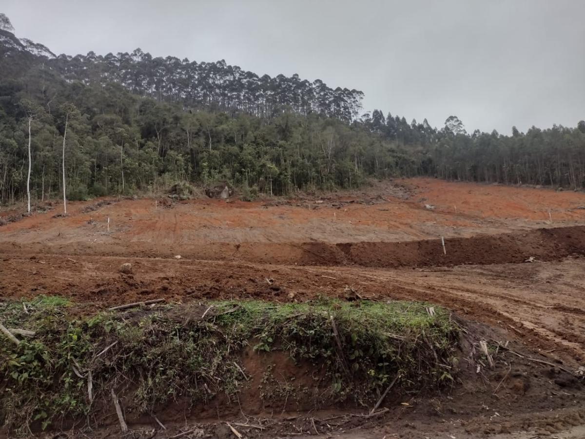 Imagem Terreno à Venda, 8 m²em Vila Aparecida - Salesópolis Imagem Terreno à Venda, 8 m²em Vila Aparecida - Salesópolis