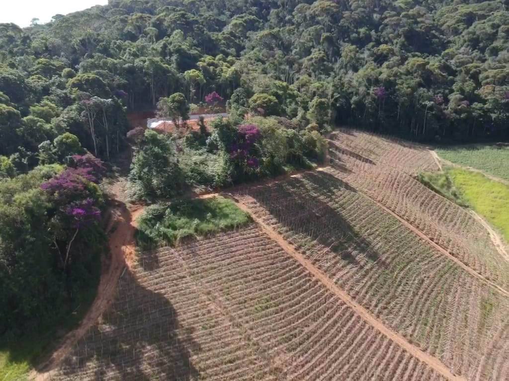 Imagem Terreno à Venda, 550 m²em Zona Rural  - Domingos Martins