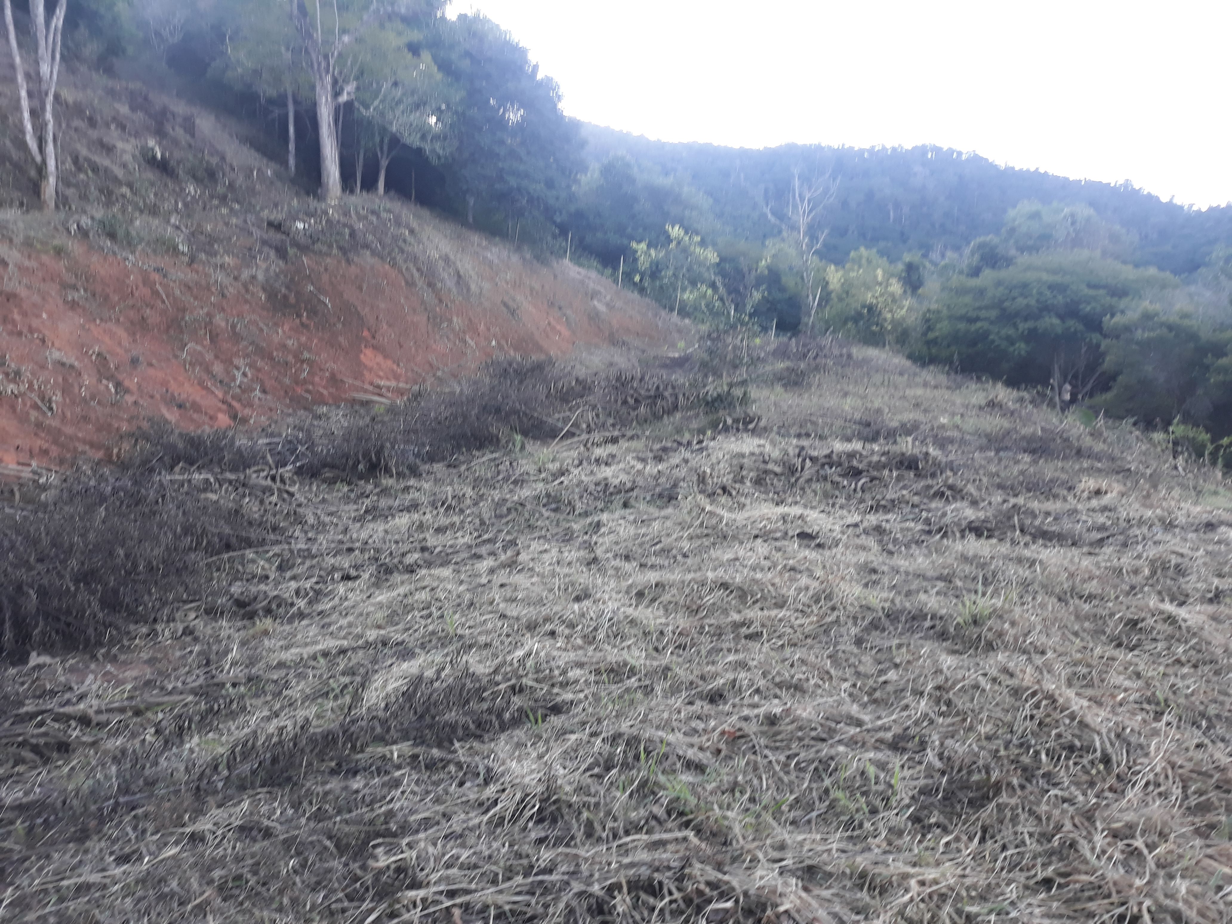 Imagem Terreno à Venda, em Humaitá - Juiz de Fora Imagem Terreno à Venda, em Humaitá - Juiz de Fora
