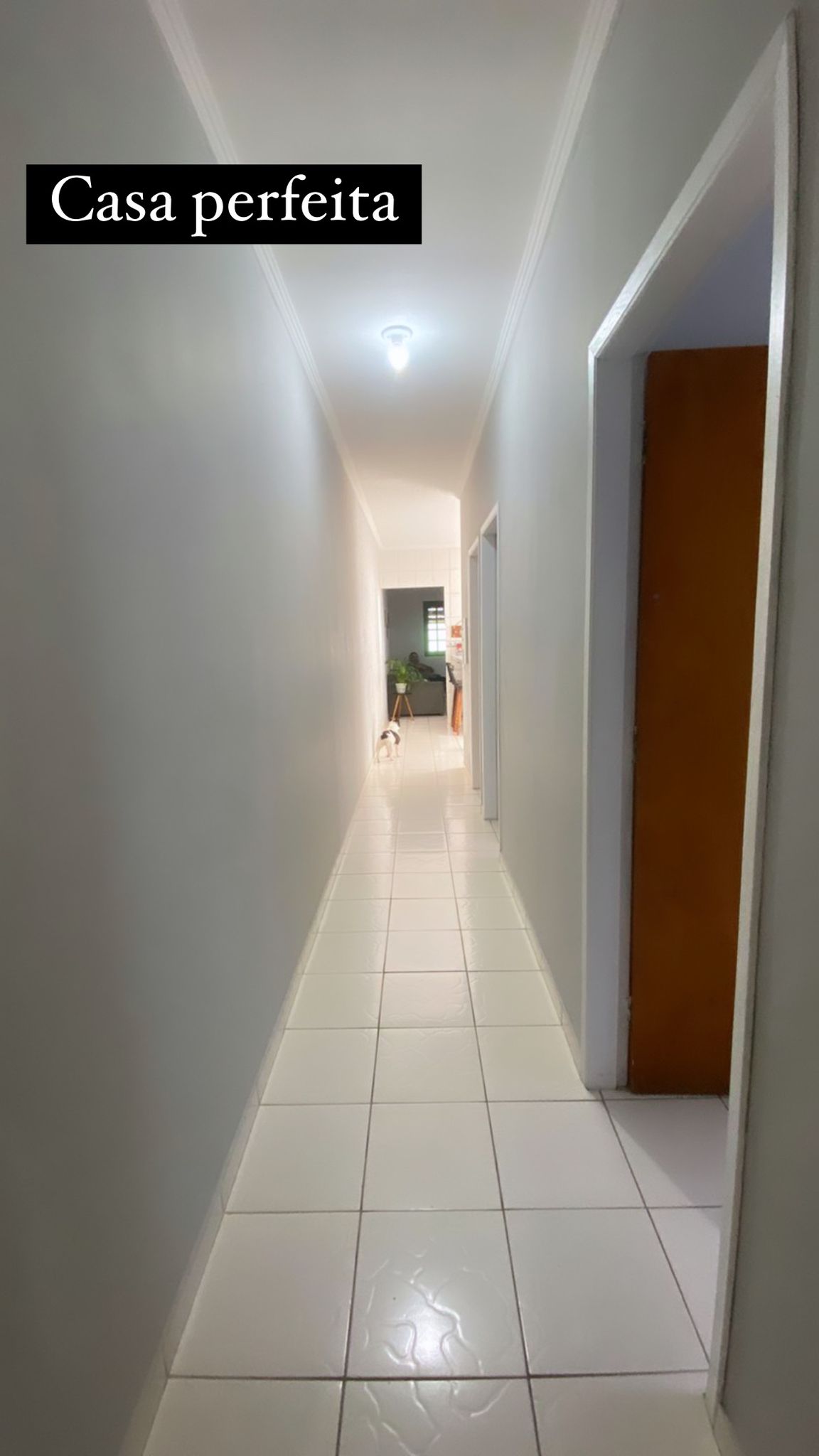 Imagem Casa com 3 Quartos à Venda, 125 m²em Residencial Bosque dos Ipês - São José dos Campos