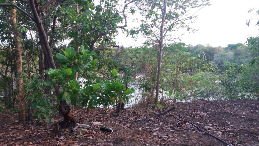 Imagem Fazenda à Venda, 47 HAem ZONA RURAL - Nova Crixás