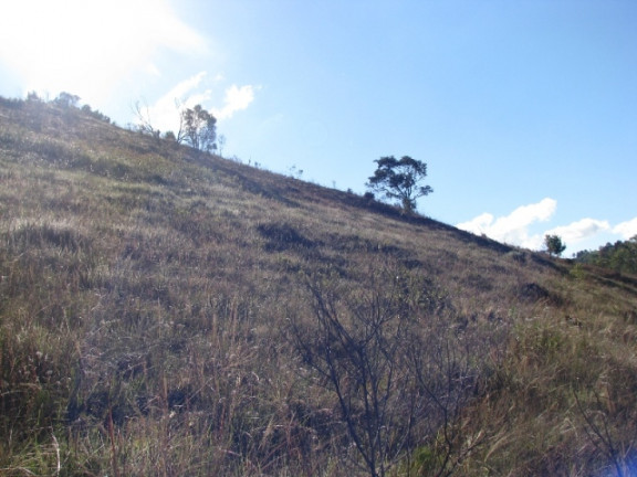 Imagem Terreno à Venda, 1.380 m² em Descansopolis - Campos do Jordão Imagem Terreno à Venda, 1.380 m² em Descansopolis - Campos do Jordão