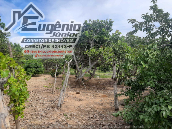Imagem Chácara com 2 Quartos à Venda, 1.600 m² em Zona Rural - São José de Piranhas Imagem Chácara com 2 Quartos à Venda, 1.600 m² em Zona Rural - São José de Piranhas