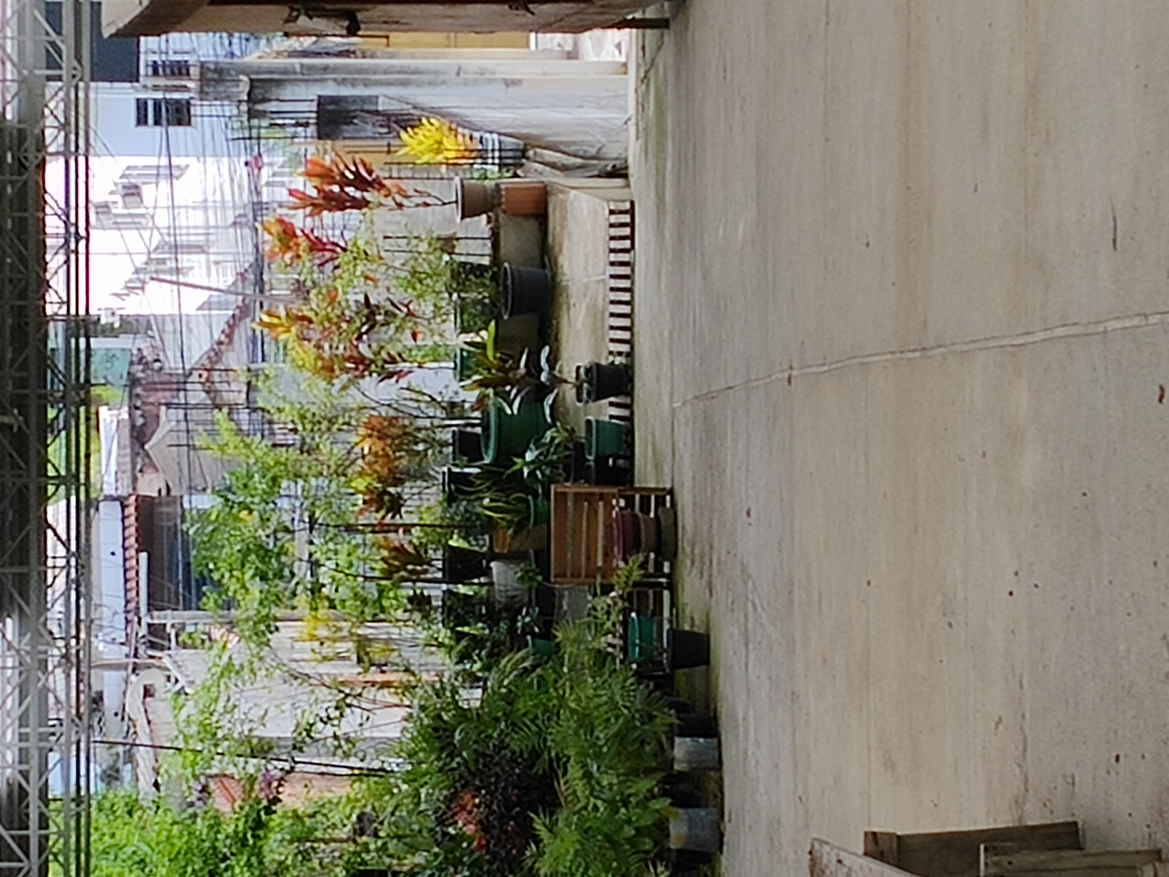 Imagem Terreno à Venda, 2 m²em Centro - São Gonçalo Imagem Terreno à Venda, 2 m²em Centro - São Gonçalo