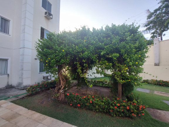 Imagem Apartamento com 2 Quartos à Venda, 45 m² em Mondubim - Fortaleza Imagem Apartamento com 2 Quartos à Venda, 45 m² em Mondubim - Fortaleza