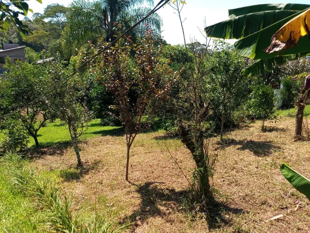Imagem Chácara com 3 Quartos à Venda, 125 m²em Conceição - São Sebastião do Caí Imagem Chácara com 3 Quartos à Venda, 125 m²em Conceição - São Sebastião do Caí