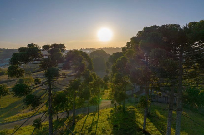 Imagem Terreno em Condomínio à Venda, 711 m² em Butiatuvinha - Curitiba Imagem Terreno em Condomínio à Venda, 711 m² em Butiatuvinha - Curitiba