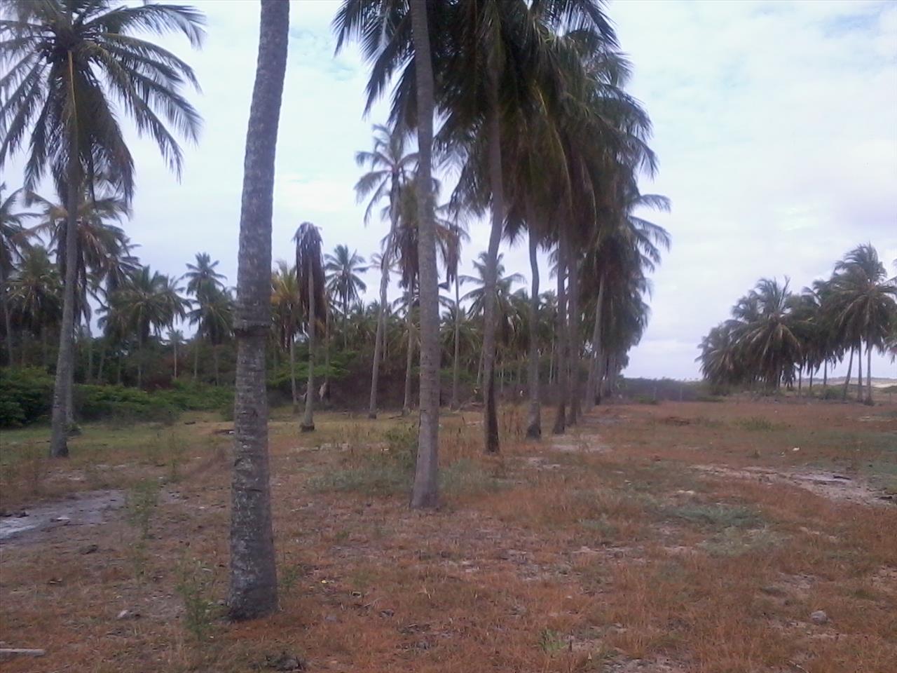 Imagem Terreno à Venda, 168.640 metro em Praia de Pititinga - Rio do Fogo Imagem Terreno à Venda, 168.640 metro em Praia de Pititinga - Rio do Fogo