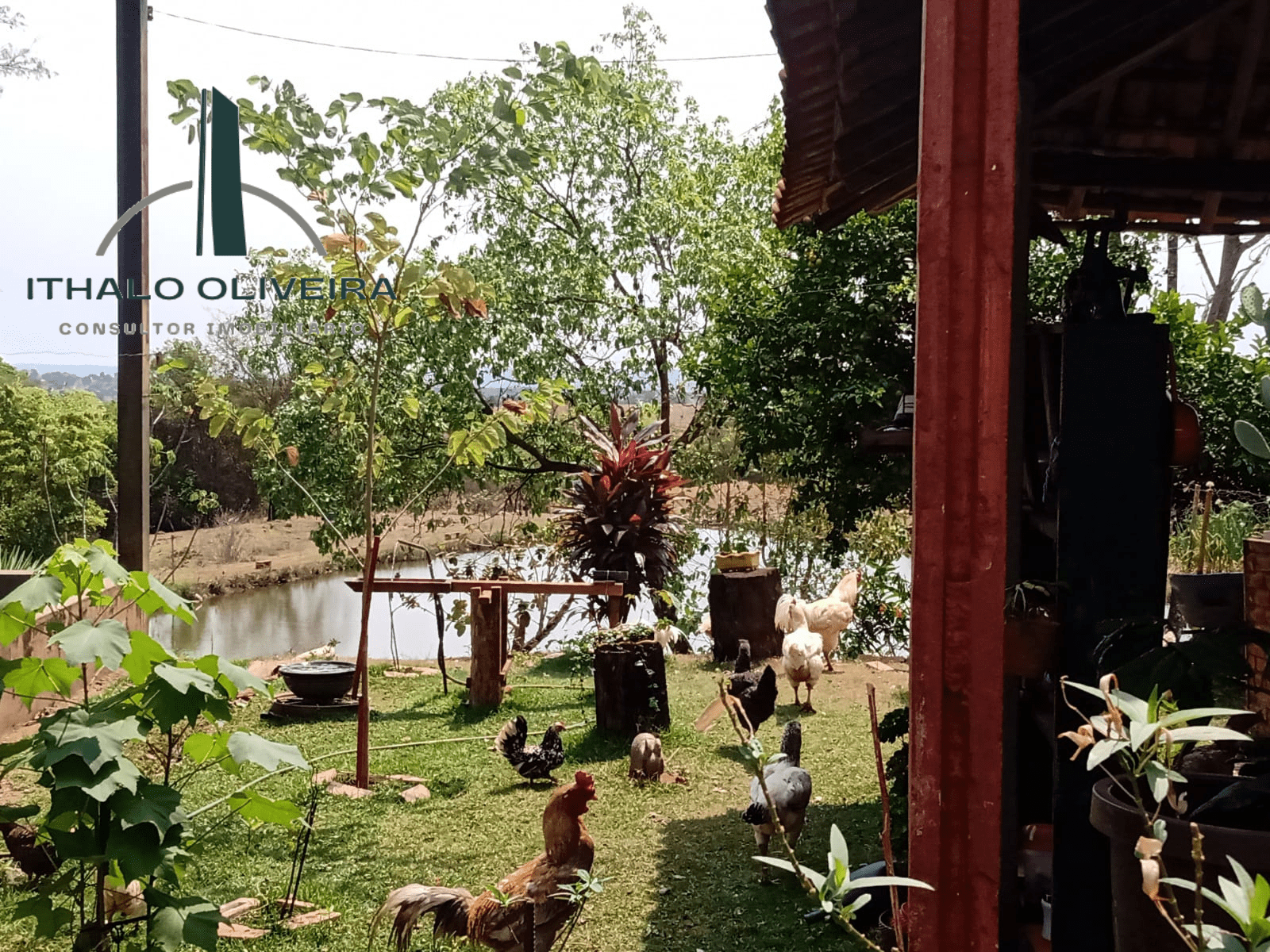 Imagem Chácara com 8 Quartos à Venda, 29 m²em Zona Rural - Paranaiguara Imagem Chácara com 8 Quartos à Venda, 29 m²em Zona Rural - Paranaiguara